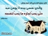 احب لجارك ما تحب لنفسك