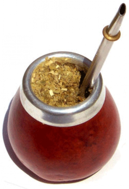 نبات المتة