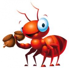 عجائب الموت عند النمل